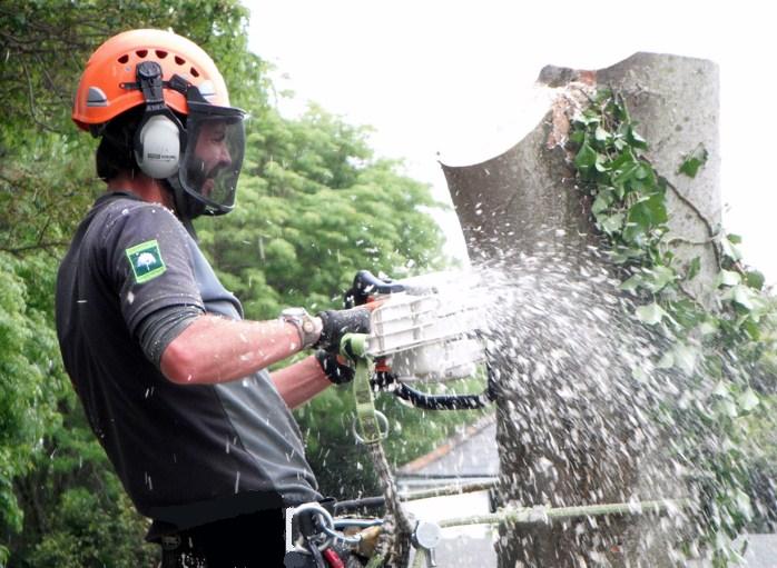 Professional arborist services in Weymouth, Portland, Dorchester | Dorset Treeworx Ltd