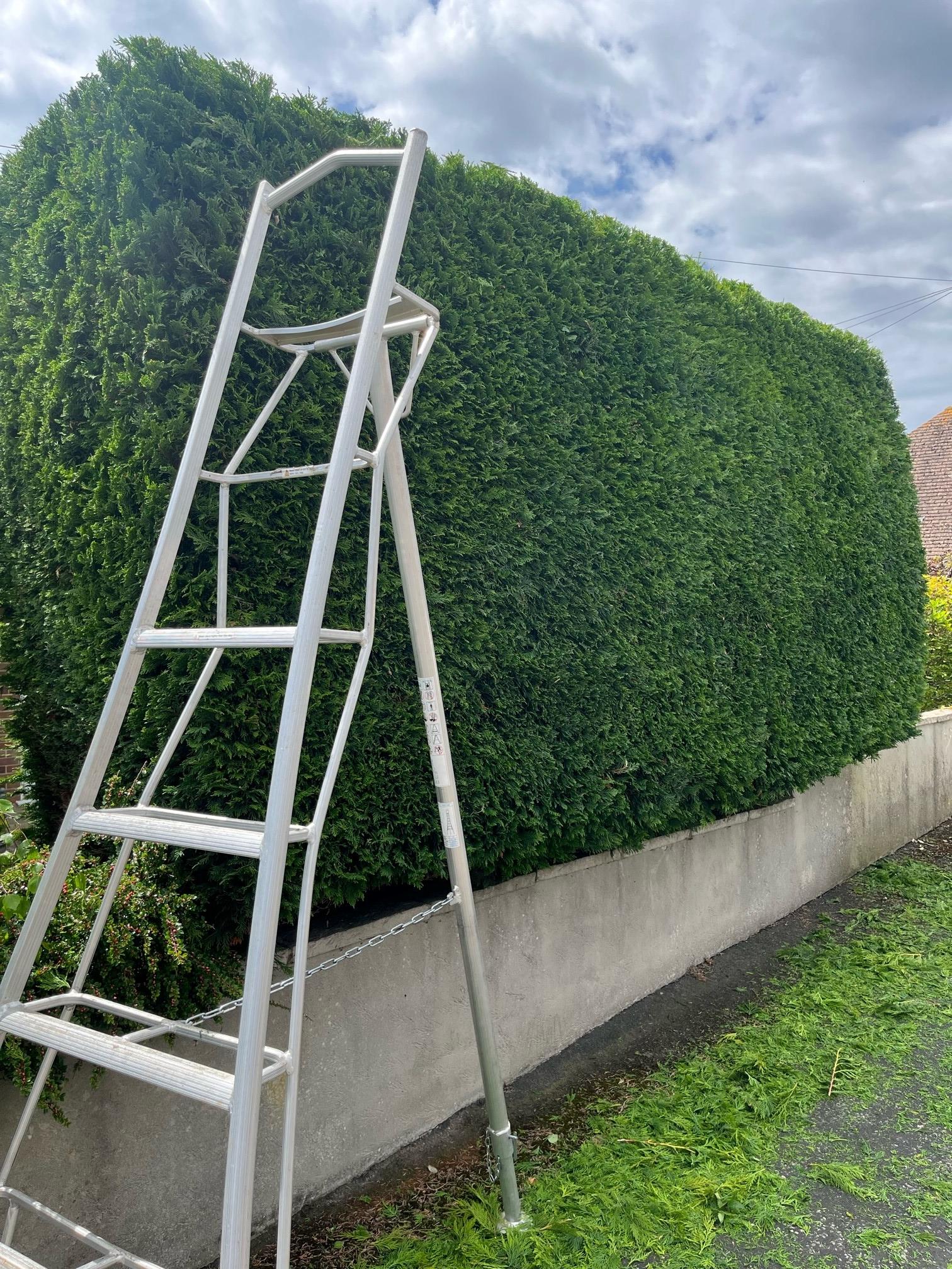 Dorchester hedge trimming services. Dorset Treeworx Ltd offers tree services near me offering tree care, tree removal, tree stump grinding, hedge trimming for private and commercial clients at Dorset Treeworx Ltd.