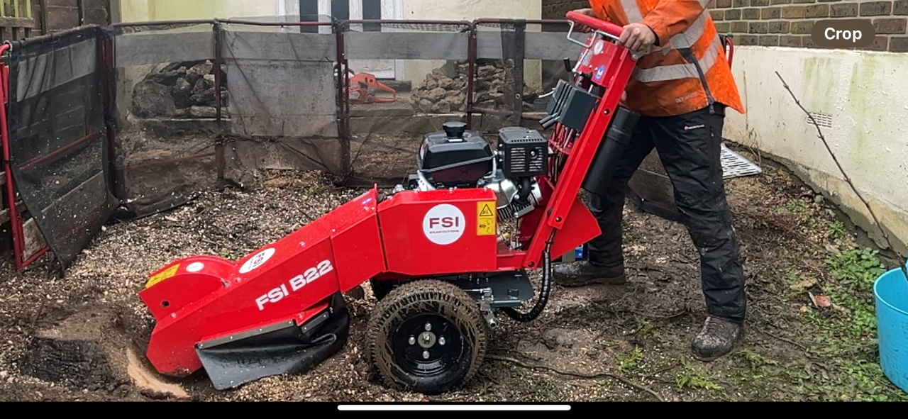 Tree surgeon Dorchester, Weymouth & Portland. Tree services near me offering tree care, tree removal, tree stump grinding, hedge trimming for private and commercial clients at Dorset Treeworx Ltd.
