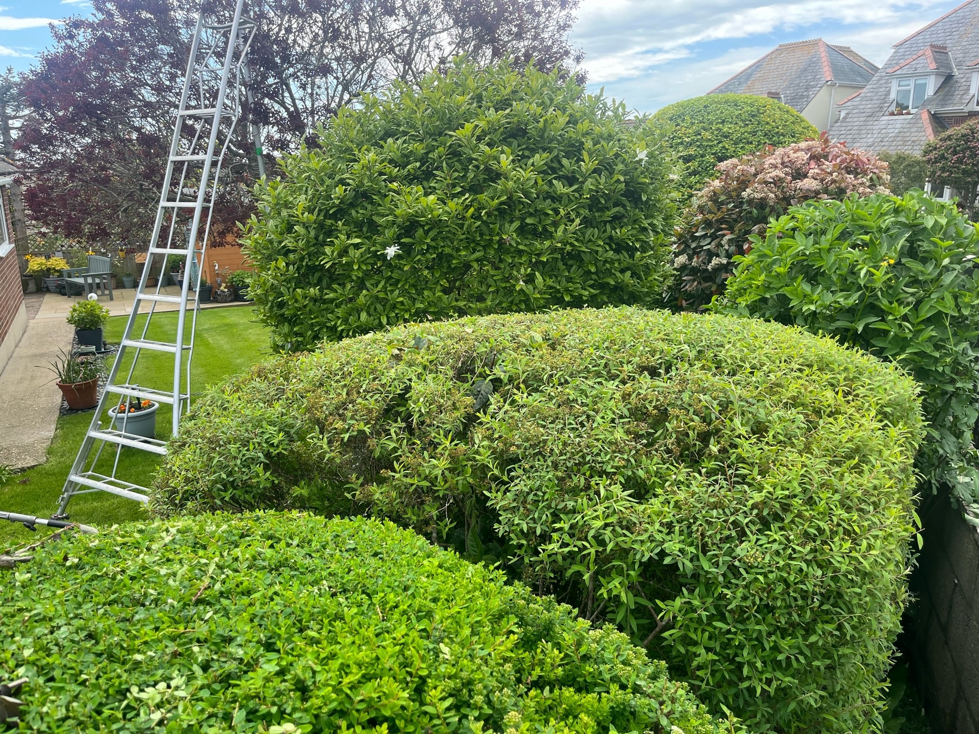Garden maintenance in Dorchester, Weymouth & Portland. Tree services near me offering tree care, tree removal, tree stump grinding, hedge trimming for private and commercial clients at Dorset Treeworx Ltd.