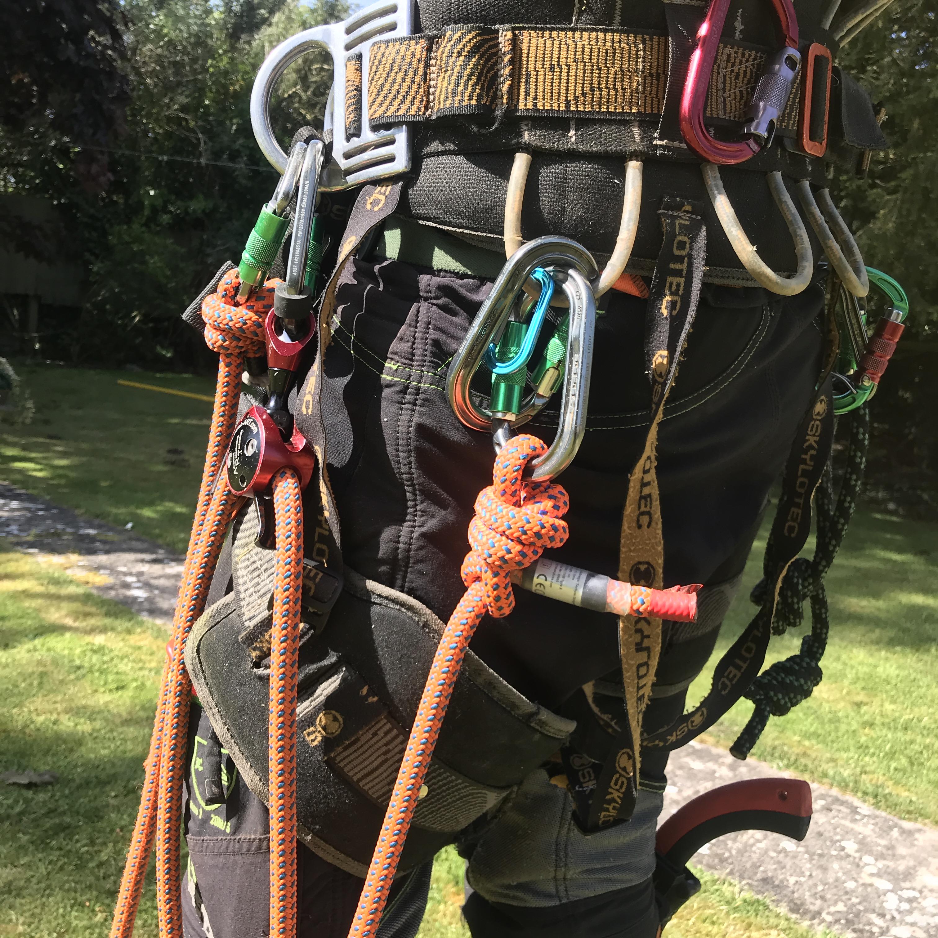 Tree surgeon reviews in Weymouth and Dorchester | Dorset Treeworx Ltd