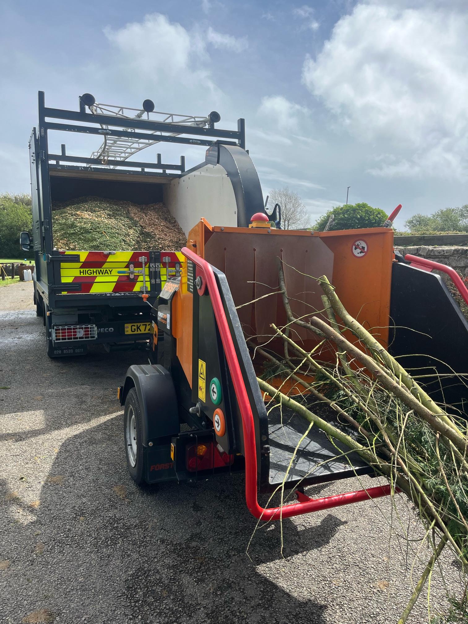 Tree removal Dorchester, Weymouth & Portland.