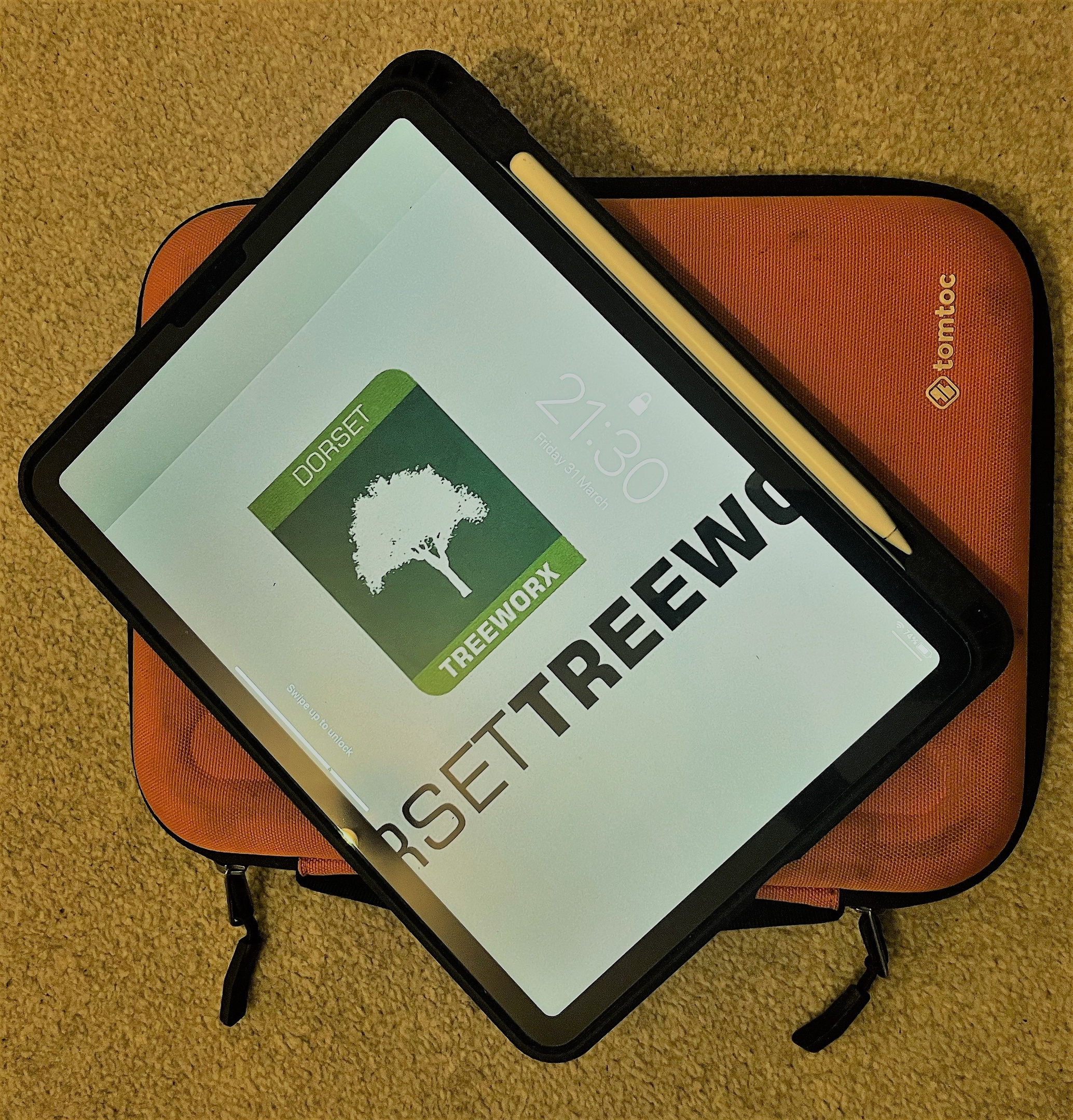 Tree applications in Dorchester, Weymouth & Portland. Tree services near me offering tree care, tree removal, tree stump grinding, hedge trimming for private and commercial clients at Dorset Treeworx Ltd.