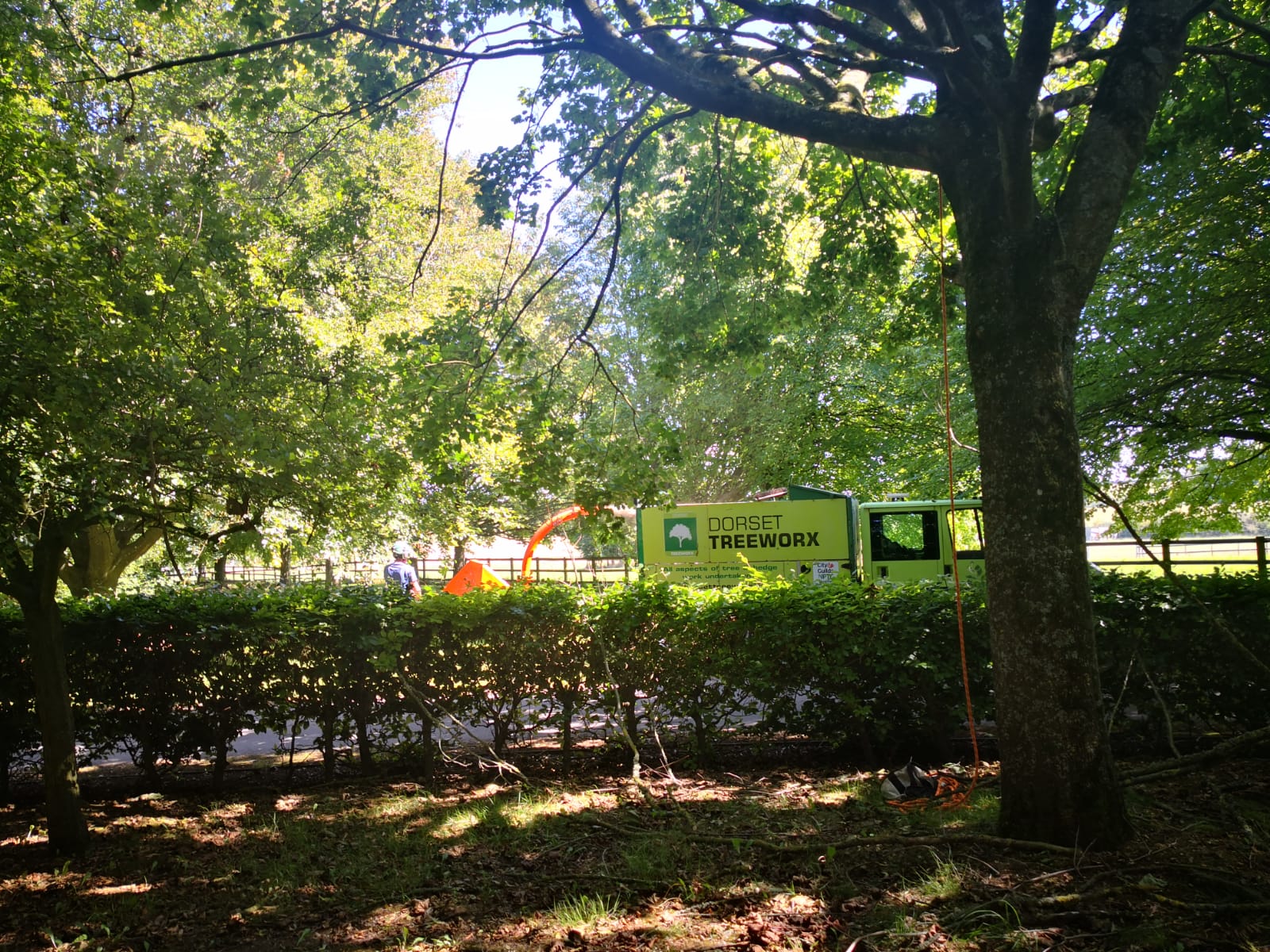 Tree surgeon Dorchester, Weymouth & Portland. Tree services near me offering tree care, tree removal, tree stump grinding, hedge trimming for private and commercial clients at Dorset Treeworx Ltd.