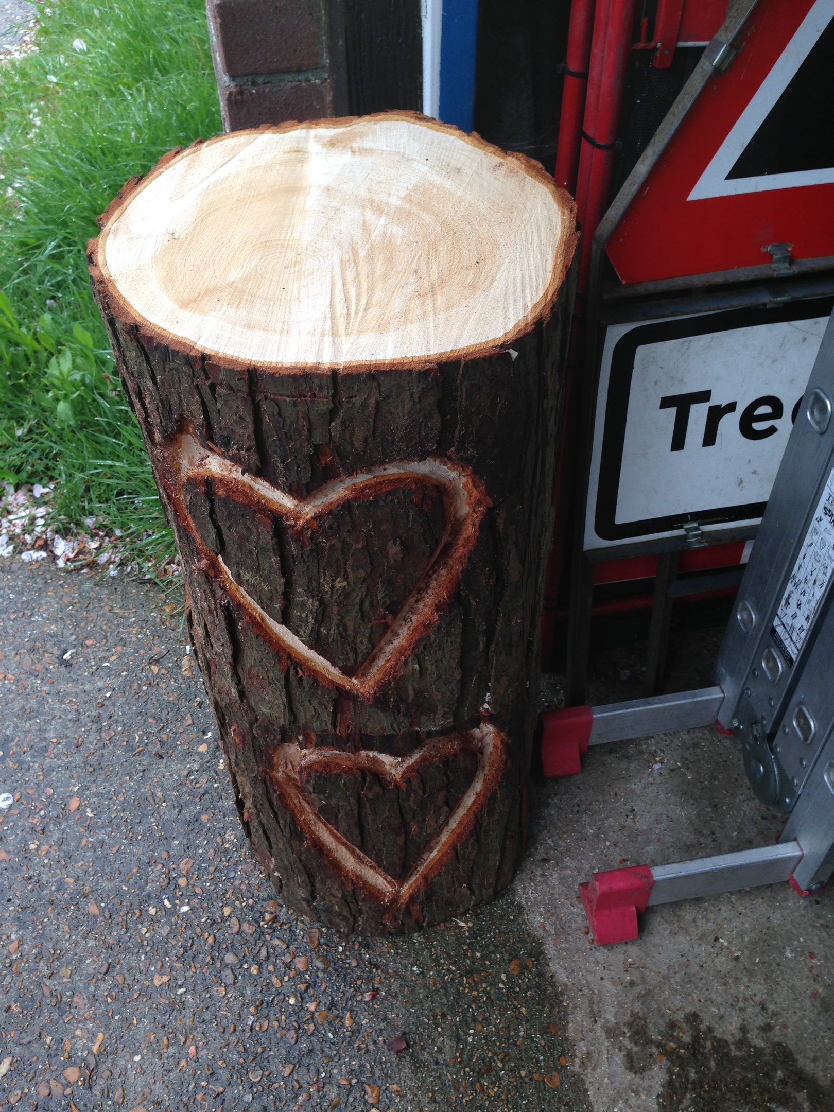 The love for tree work in Dorchester, Weymouth & Portland. Tree services near me offering tree care, tree removal, tree stump grinding, hedge trimming for private and commercial clients at Dorset Treeworx Ltd.