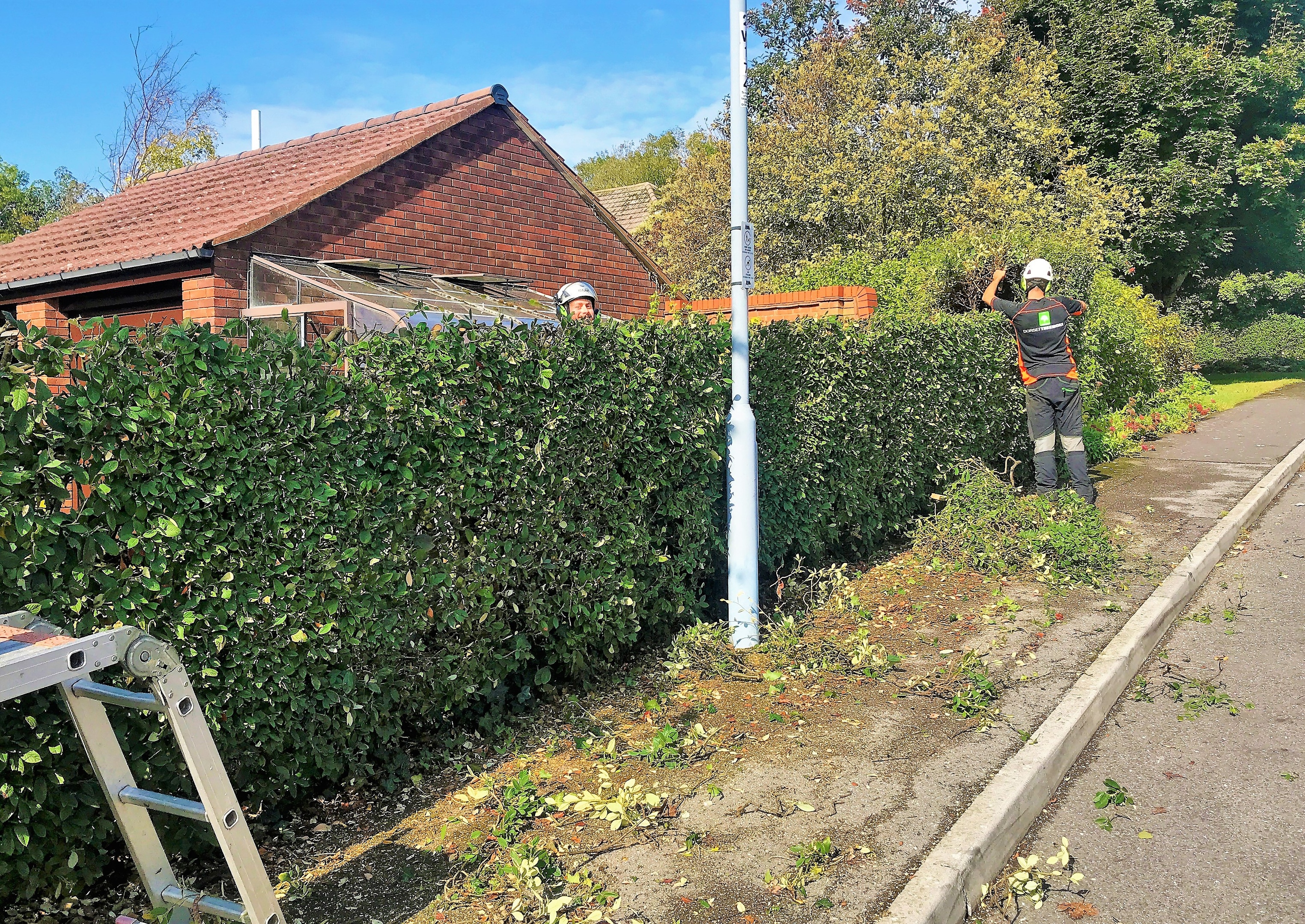 Hedge reduction in Dorchester, Weymouth & Portland at Dorset Treeworx Ltd