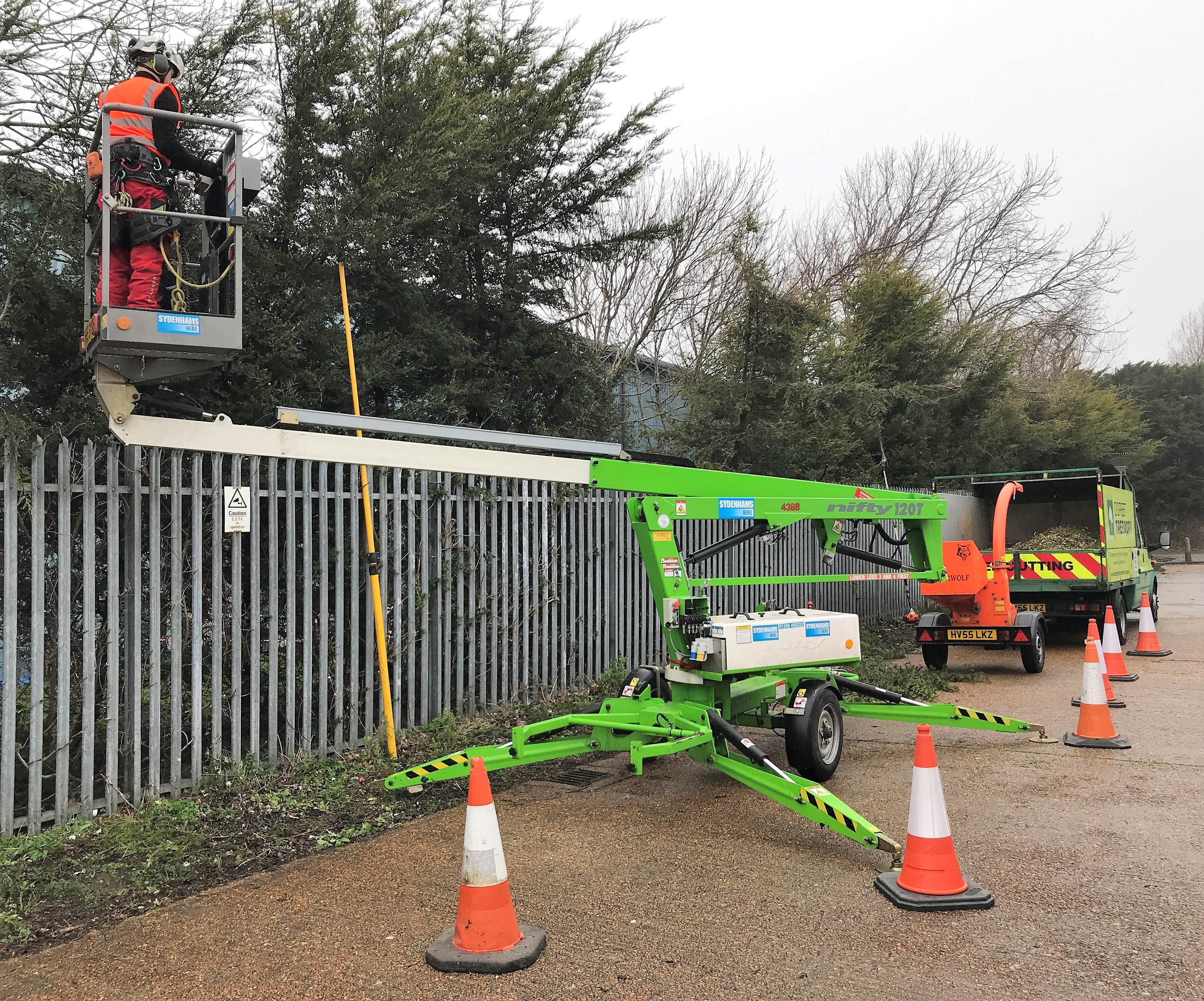 Commercial tree surgery services in Dorchester, Weymouth & Portland | Dorset Treeworx Ltd