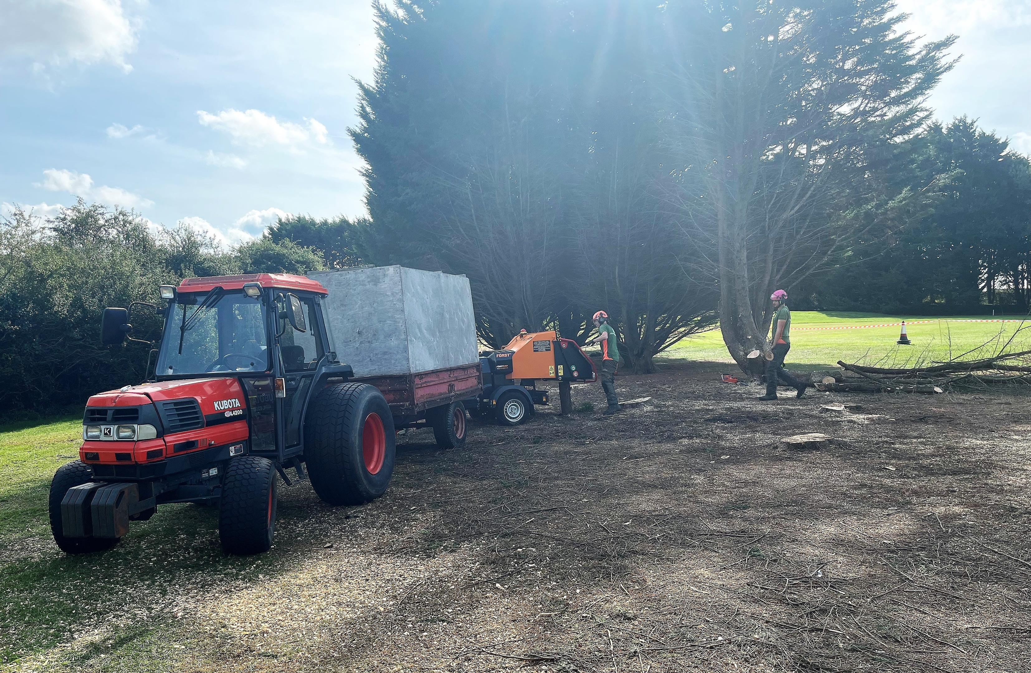 Tree removal services in Dorchester, Weymouth & Portland | Dorset Treeworx Ltd