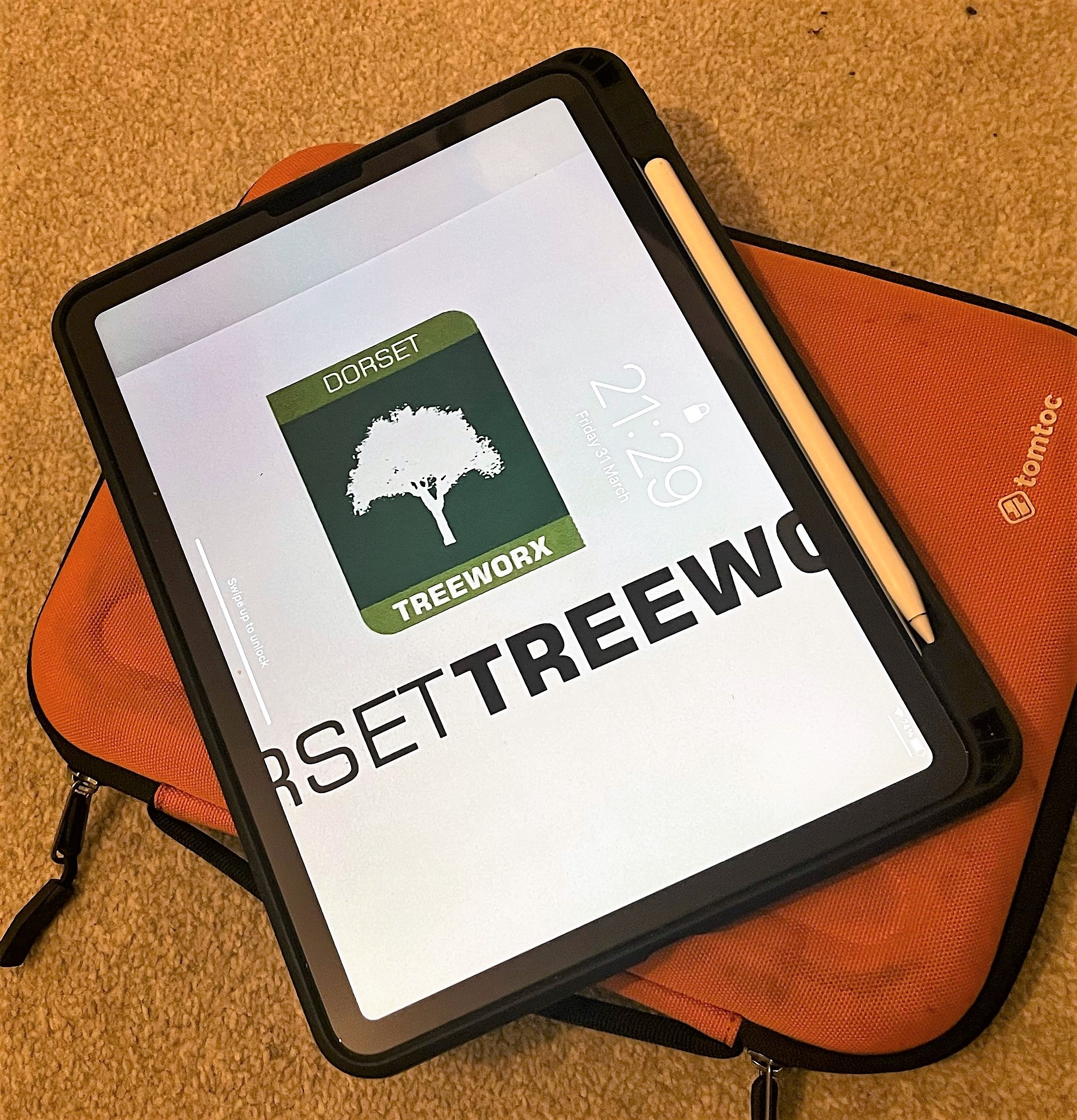 Tree application in Dorchester, Weymouth & Portland at Dorset Treeworx Ltd